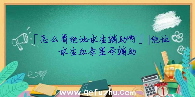 「怎么看绝地求生辅助啊」|绝地求生血条显示辅助